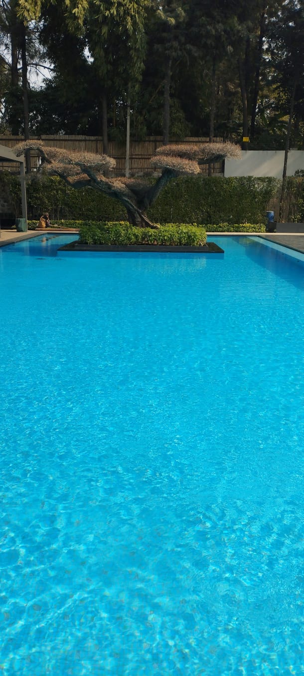 Contemporary Office Space